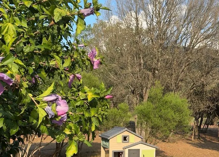 Vakantieboerderij Ferme U Sape Fa *