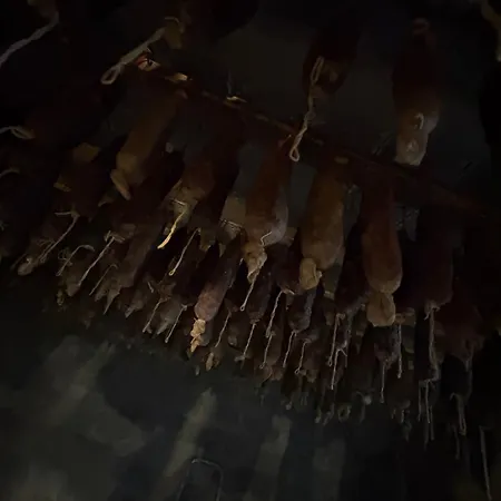 Ferme U Sapè Fà * Saliceto