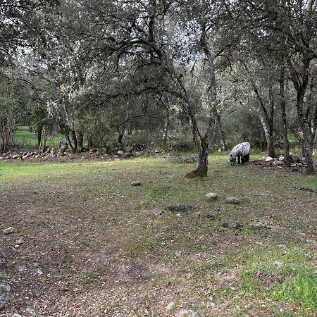 Alojamento de Turismo Rural Ferme U Sapè Fà