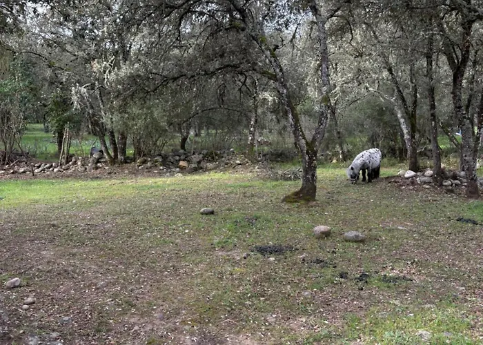 Alojamento de Turismo Rural Ferme U Sapè Fà
